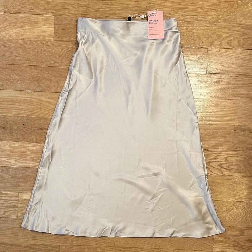 Quince Washable Silk Champagne Midi Skirt - XS - With Tags - Picture 5 of 6